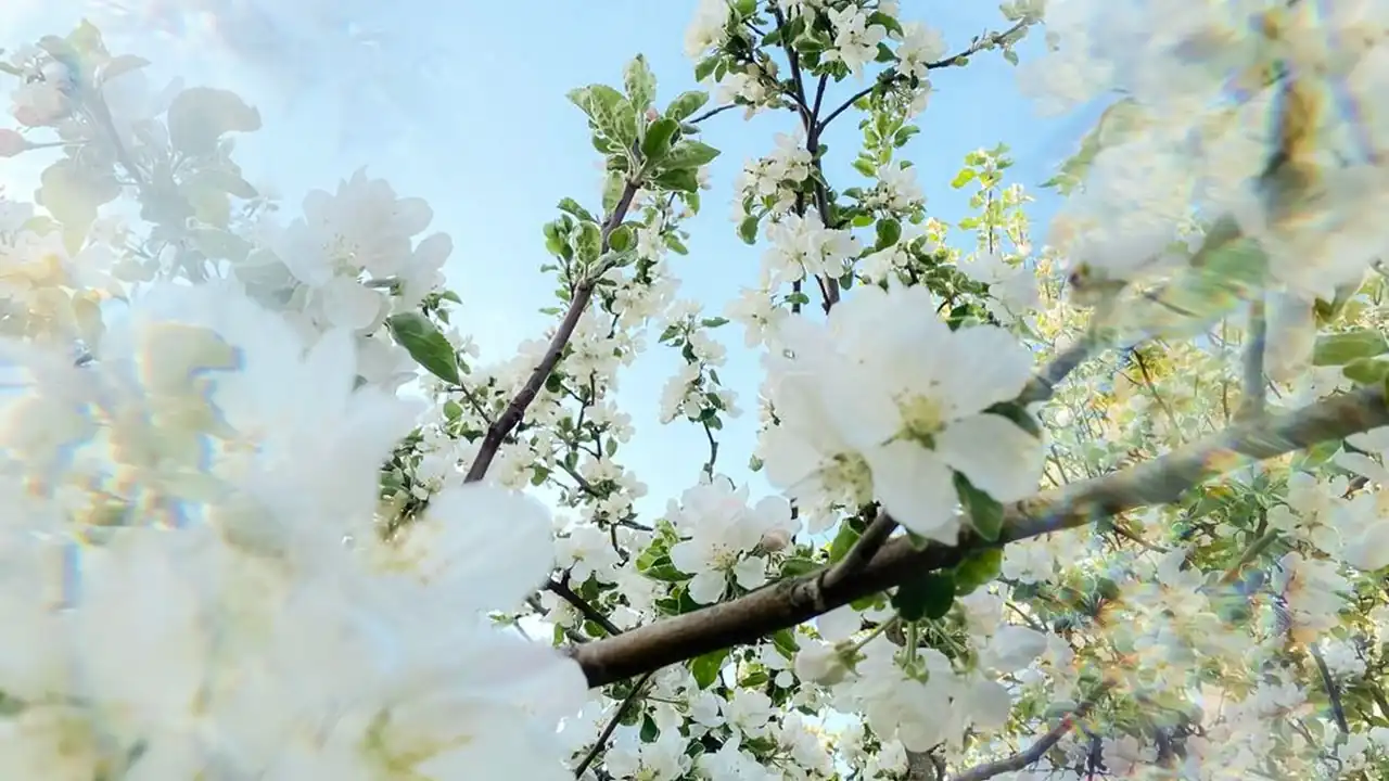 51今日大赛-每日大赛在线观看截图1